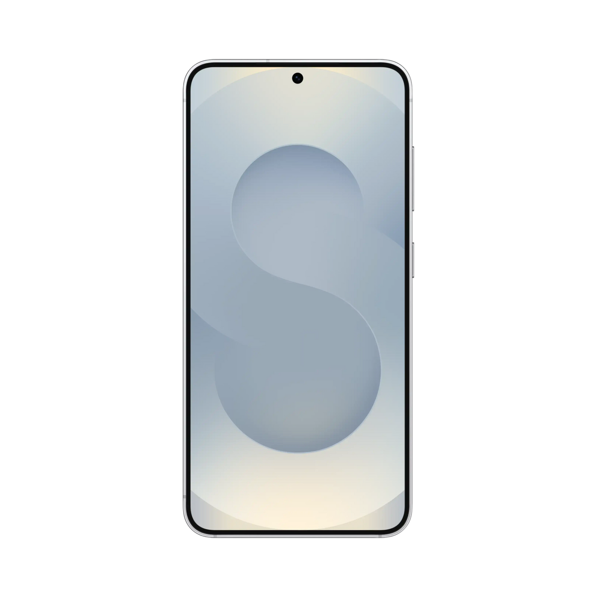 Samsung Galaxy S25 512GB