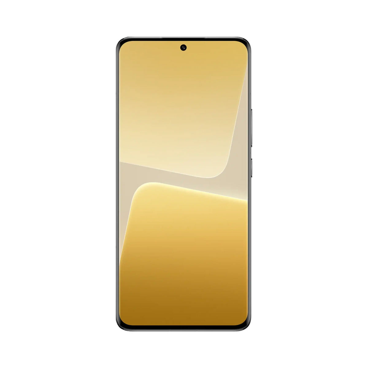 Xiaomi 13 Pro 256GB